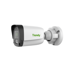 IP камера Tiandy TC-C321N Spec:I3/E/Y/4mm